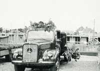 1960: Mercedes L 315 pyntet op til optog i Farsø
